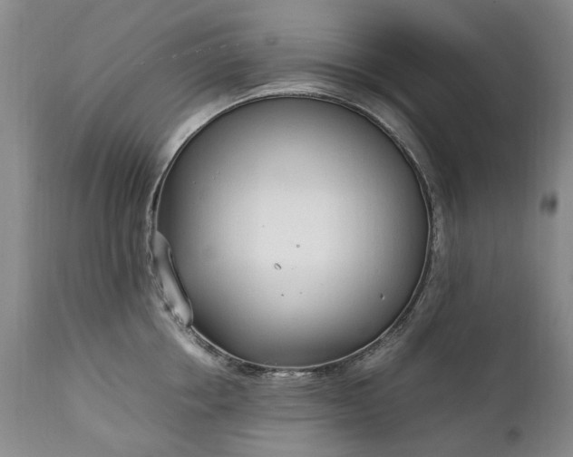 X0000111250858200907091422