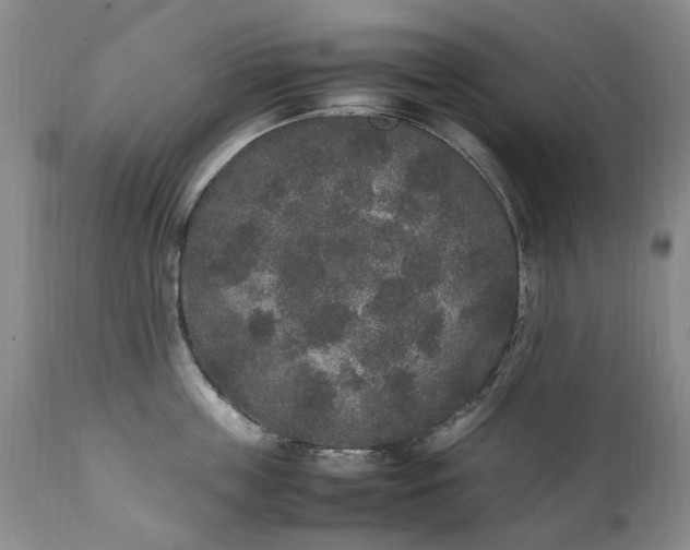 X0000111250859200907091422