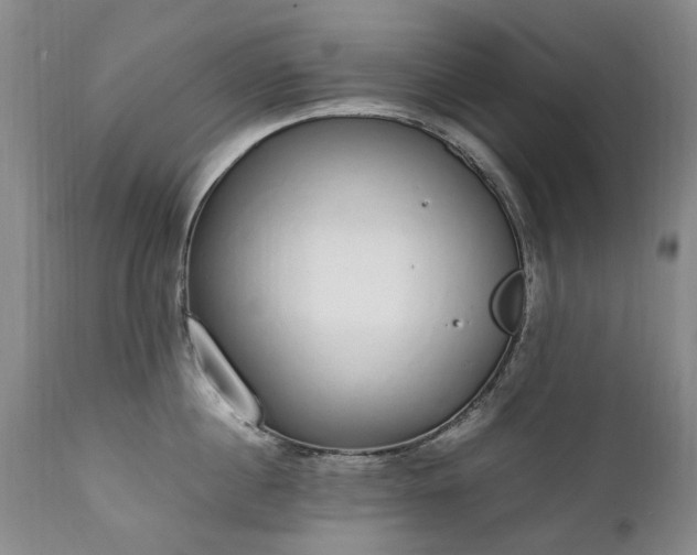 X0000111250860200907091422