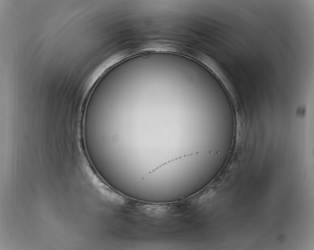 X0000111250861200907091422