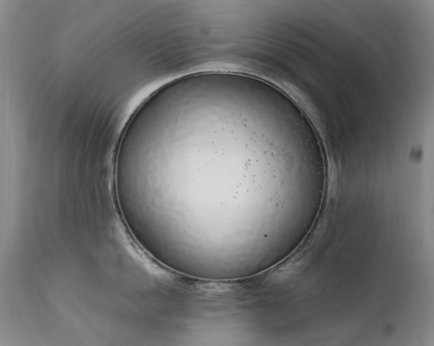 X0000111250862200907091422