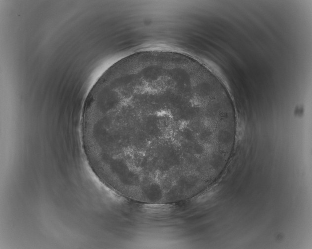 X0000111250863200907091422