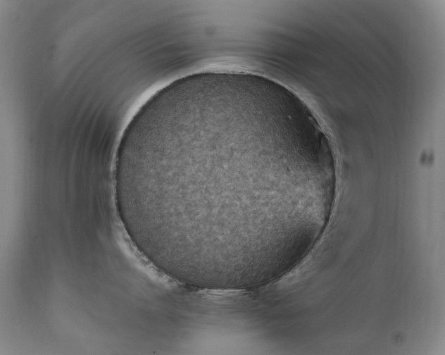 X0000111250864200907091422