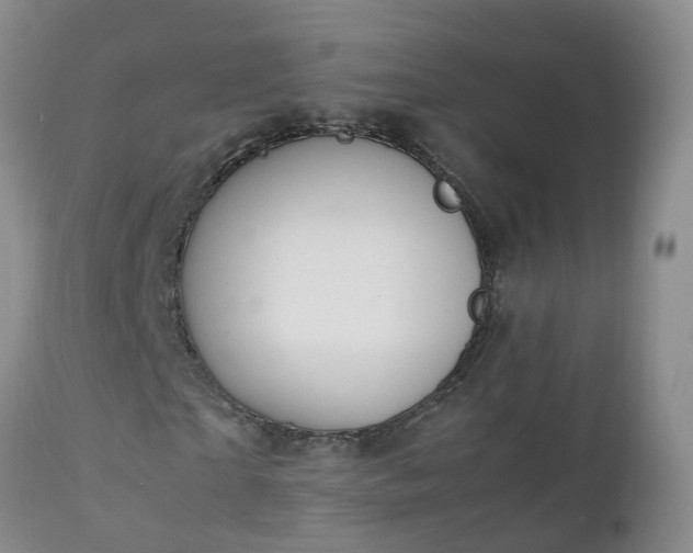 X0000111250865200907091421