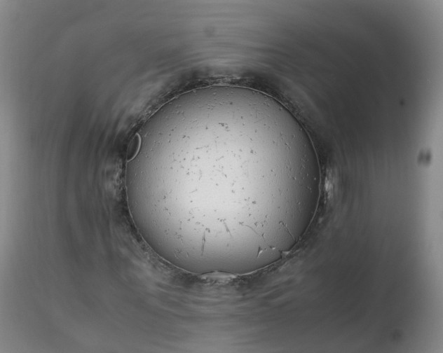 X0000111250867200907091421