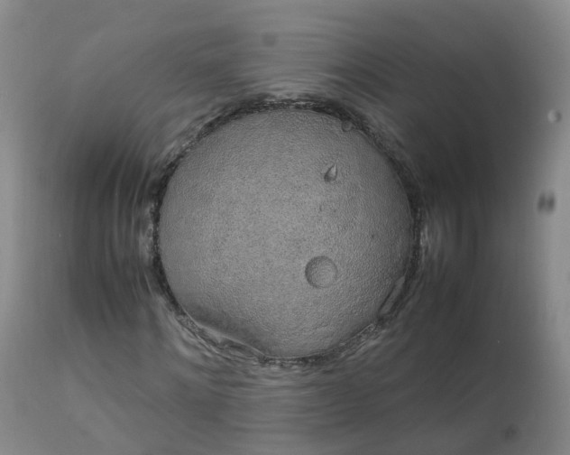 X0000111250868200907091421