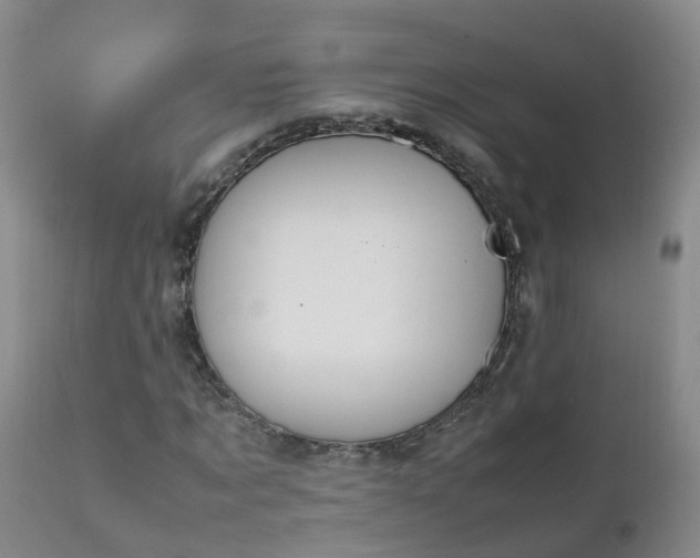 X0000111250869200907091421