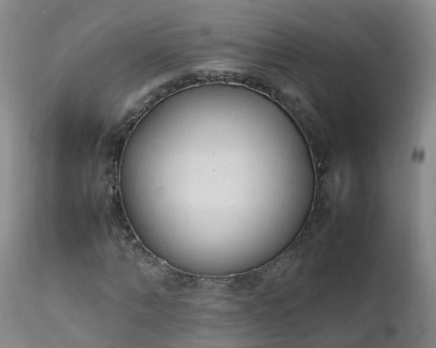 X0000111250870200907091421