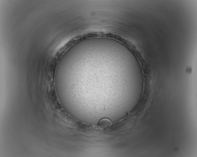 X0000111250871200907091421