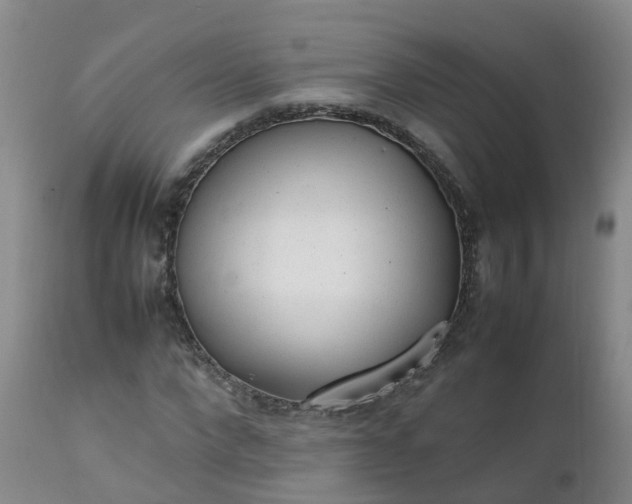 X0000111250872200907091421