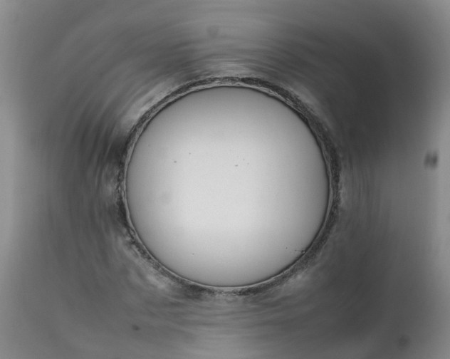 X0000111250873200907091421