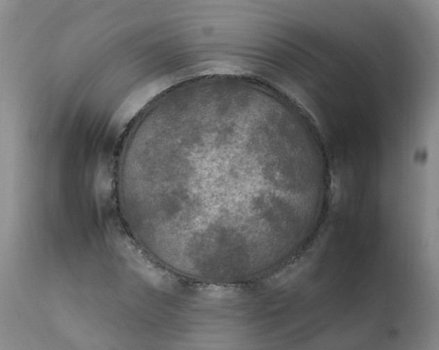 X0000111250874200907091421