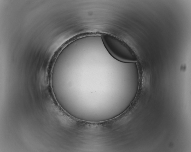 X0000111250876200907091421