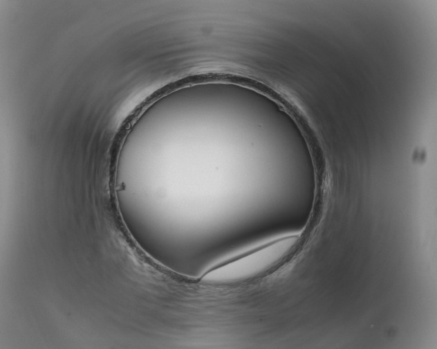 X0000111250877200907091421