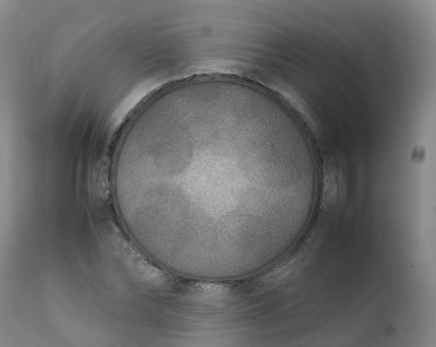 X0000111250878200907091421