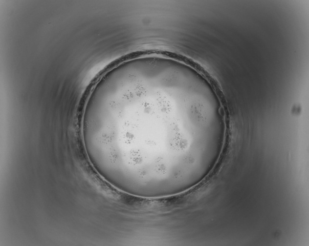 X0000111250879200907091421