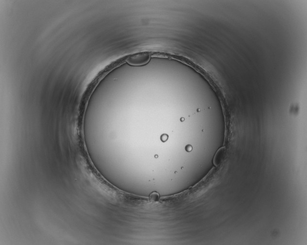 X0000111250880200907091421