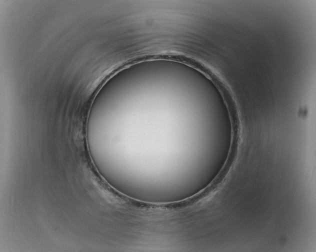 X0000111250881200907091421