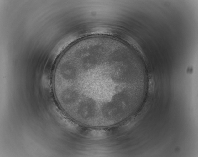 X0000111250882200907091421