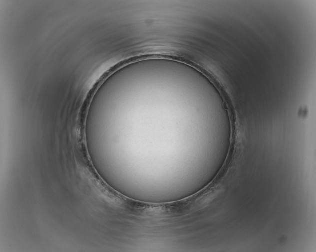 X0000111250883200907091421