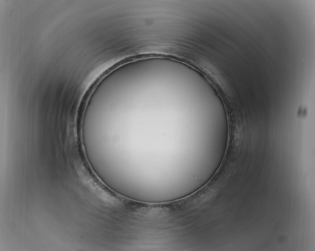 X0000111250884200907091421