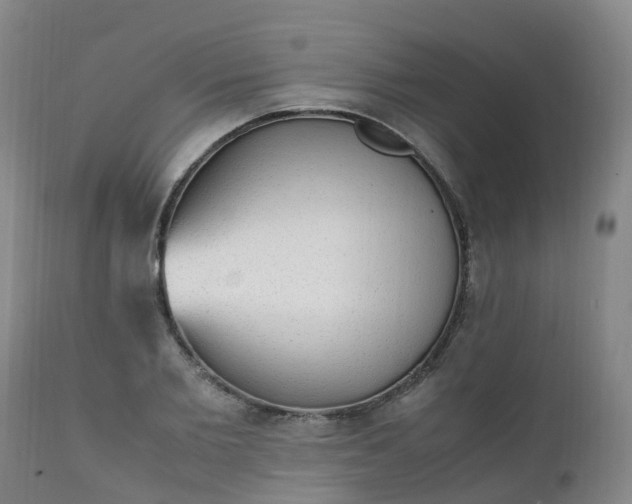 X0000111250885200907091421