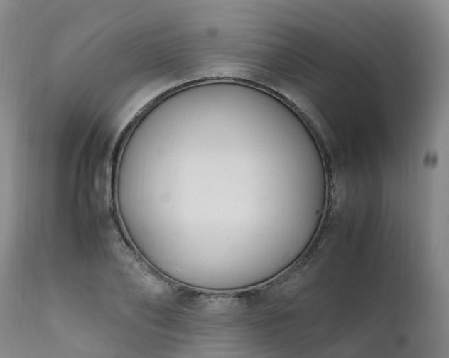 X0000111250886200907091421