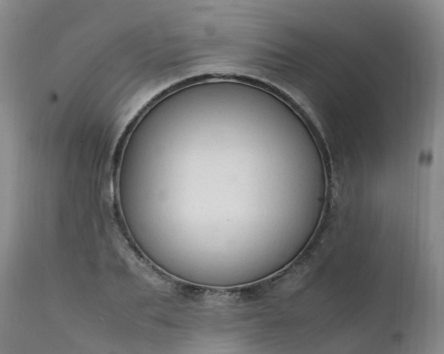 X0000111250887200907091421