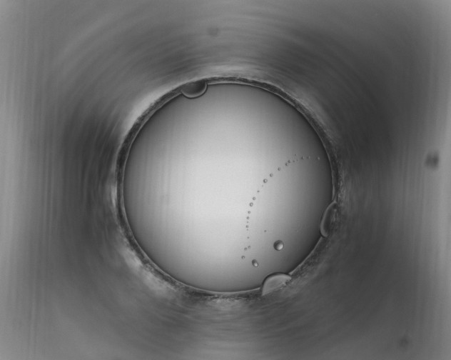 X0000111250888200907091421