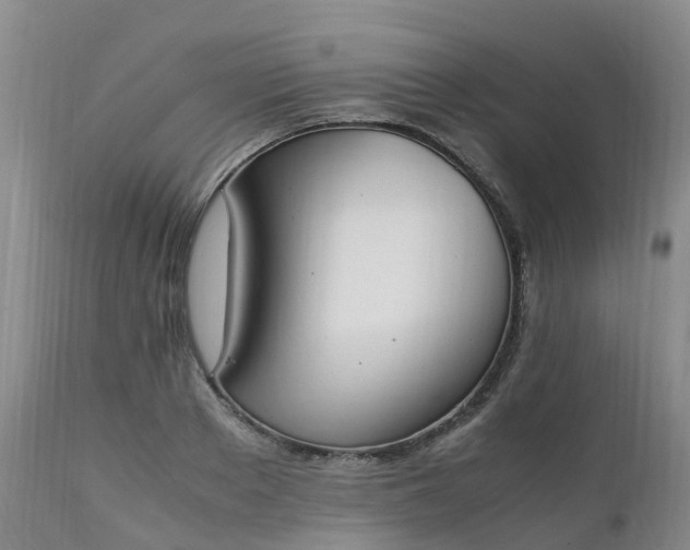 X0000111250889200907091421