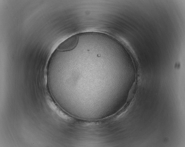 X0000111250892200907091421