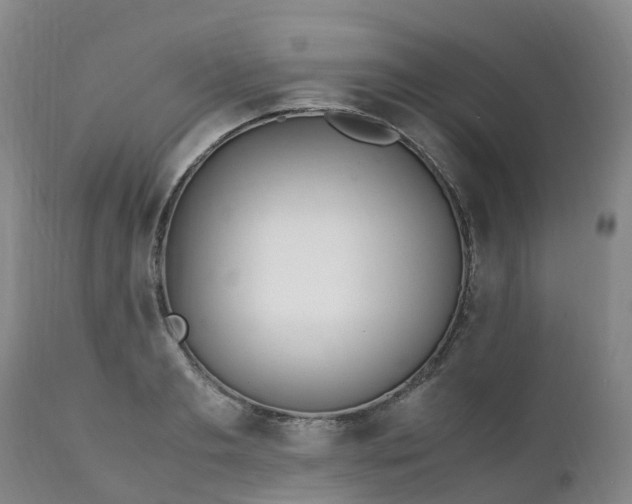 X0000111250893200907091421