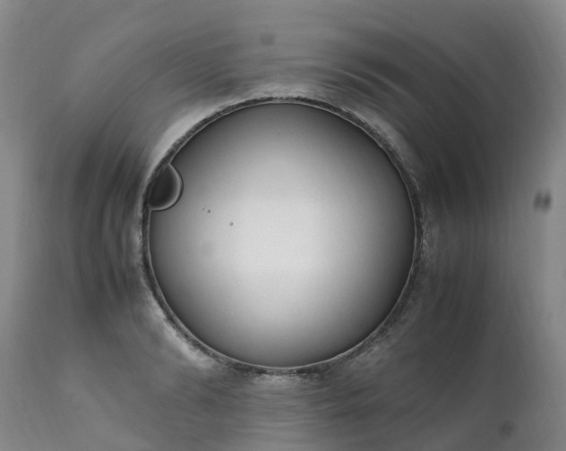 X0000111250894200907091421