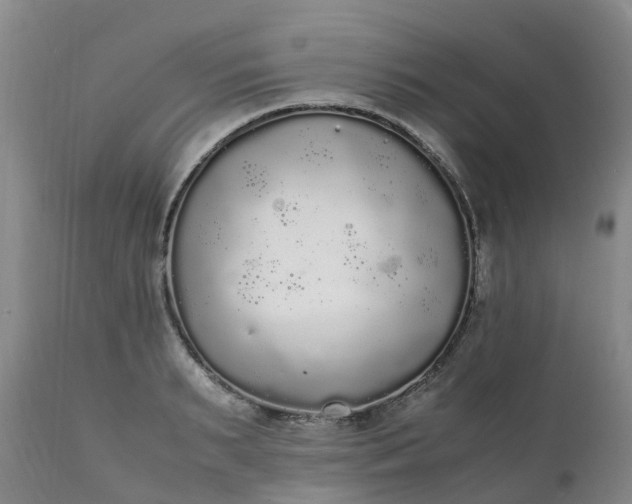 X0000111250895200907091421