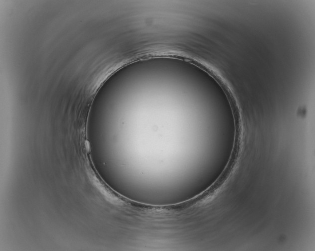 X0000111250897200907091421