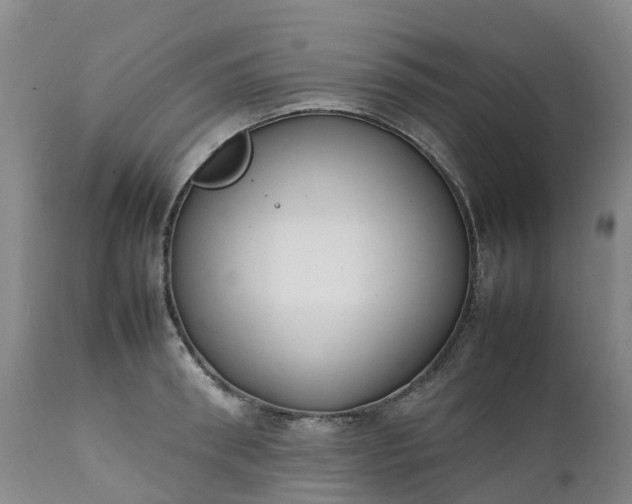 X0000111250898200907091421