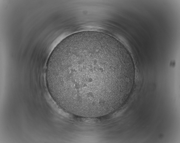 X0000111250899200907091421