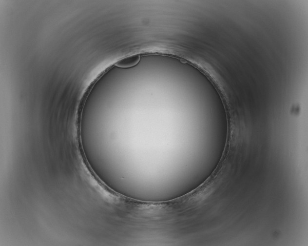 X0000111250902200907091420