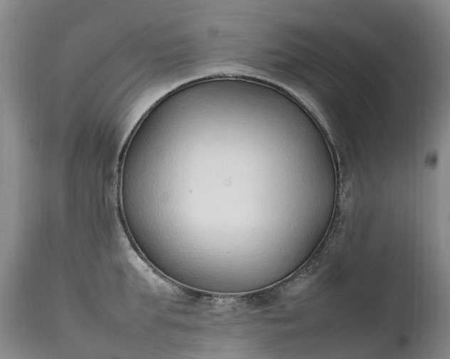 X0000111250903200907091420