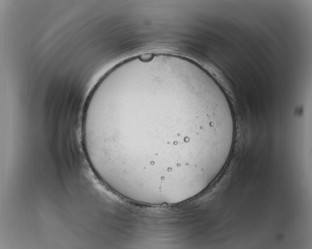 X0000111250904200907091420