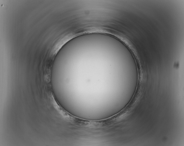 X0000111250905200907091420