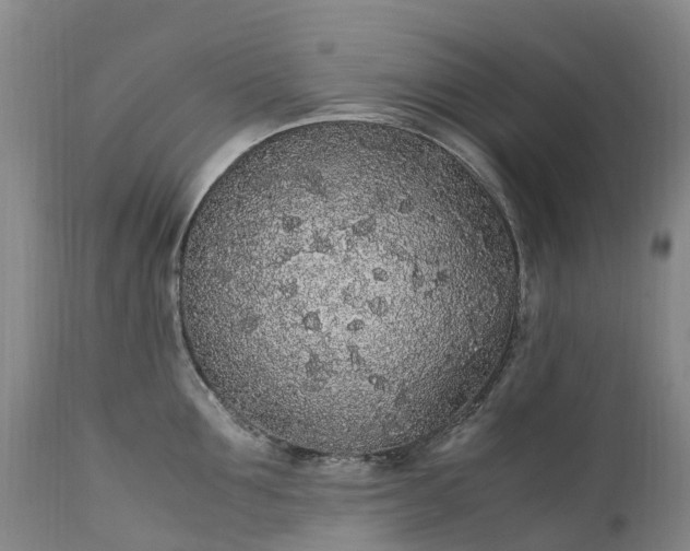 X0000111250907200907091420