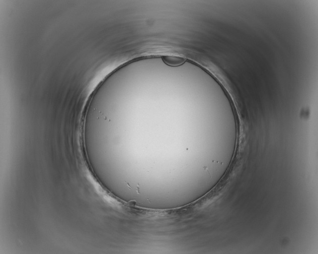 X0000111250909200907091420