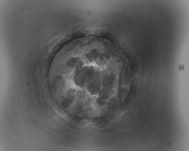 X0000111250913200907091420