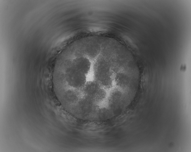 X0000111250917200907091420