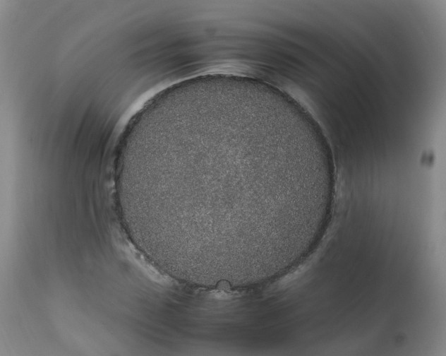 X0000111250923200907091420