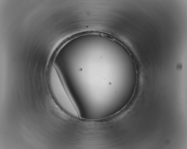 X0000111250924200907091420