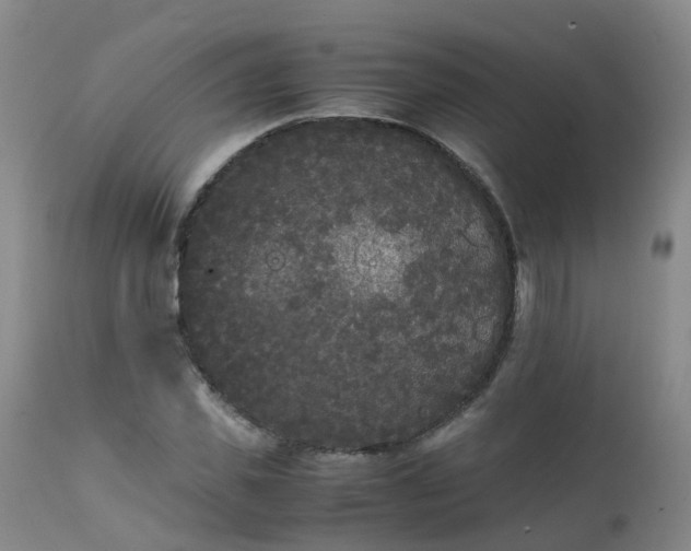 X0000111250925200907091420