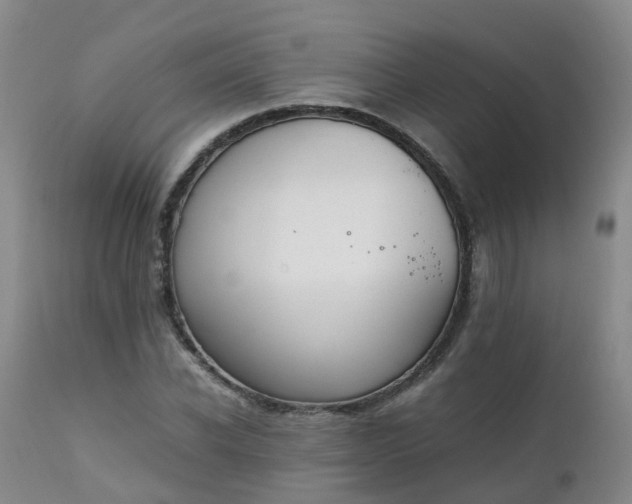 X0000111250926200907091420