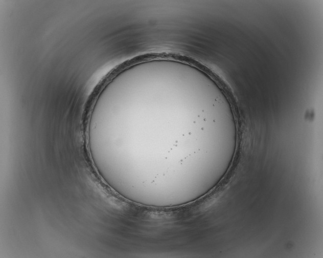 X0000111250927200907091420